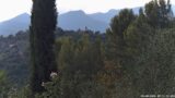 05/08/2026, 18:31