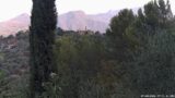 07/08/2026, 07:31