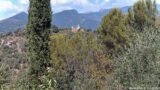08/08/2026, 12:01