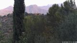 09/08/2026, 07:31