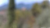 11/08/2026, 12:01