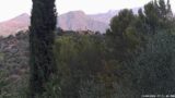 13/08/2026, 07:31