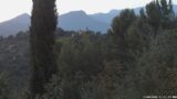 13/08/2026, 21:01
