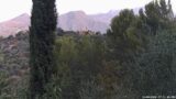 14/08/2026, 07:31