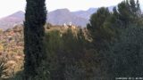 14/08/2026, 08:31