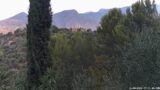 16/08/2026, 07:31