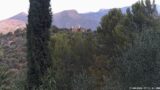 17/08/2026, 07:31