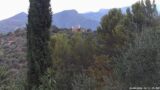 18/08/2026, 06:31