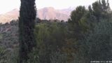 18/08/2026, 07:31