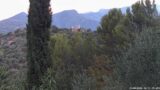 19/08/2026, 06:31