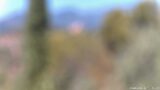 19/08/2026, 12:01