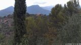 20/08/2026, 12:31