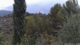 20/08/2026, 14:31