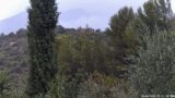 20/08/2026, 15:31
