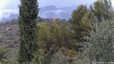 20/08/2026, 15:37