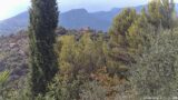 20/08/2026, 17:01