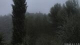 21/08/2026, 06:31
