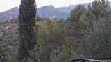 22/08/2026, 06:31