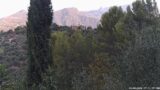 24/08/2026, 07:31