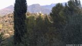 24/08/2026, 08:31