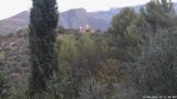 25/08/2026, 06:31