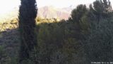 25/08/2026, 08:01