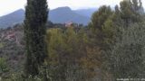 26/08/2026, 15:31