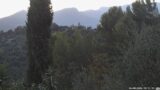 26/08/2026, 20:31