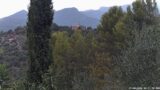27/08/2026, 16:31