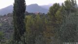 27/08/2026, 18:31