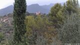 28/08/2026, 11:31