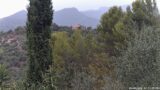 28/08/2026, 12:31