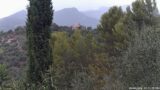 28/08/2026, 13:31