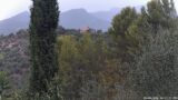 28/08/2026, 16:01