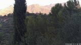 29/08/2026, 07:31
