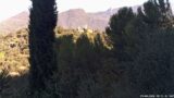 29/08/2026, 08:31