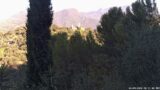 01/09/2026, 08:31