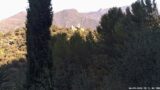 06/09/2026, 08:31
