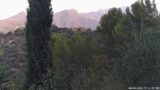 08/09/2026, 07:31