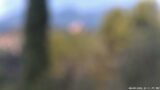 08/09/2026, 12:01