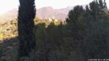 12/09/2026, 08:31