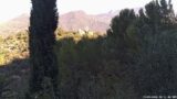 15/09/2026, 08:31