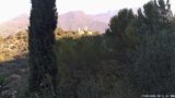 17/09/2026, 08:31
